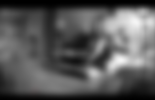 Matt & Siren Play While They Are Away!!